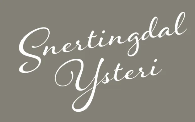 Snertingdal Ysteri logo
