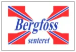 Bergfoss-web